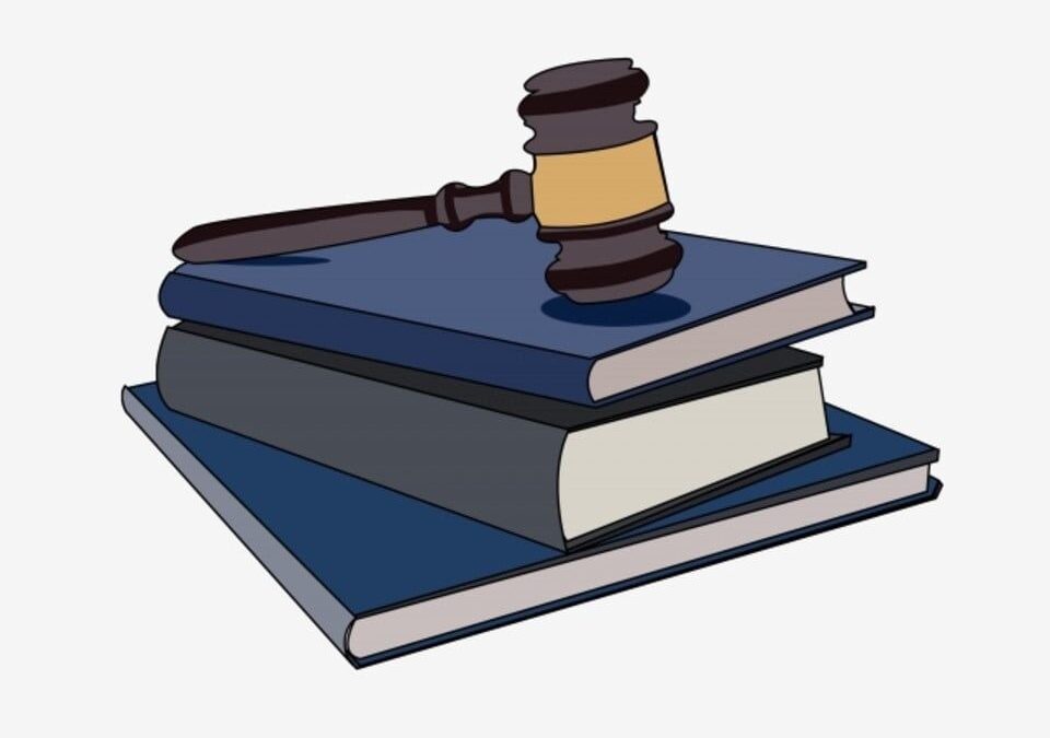 Нотариусы 13 марта проконсультируют бесплатно в честь Дня Конституции Беларуси.